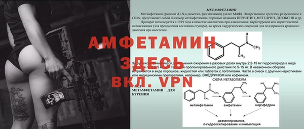 ГАЛЛЮЦИНОГЕННЫЕ ГРИБЫ Балахна