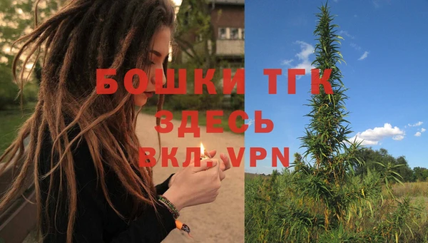 индика Арсеньев