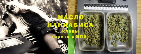 индика Арсеньев