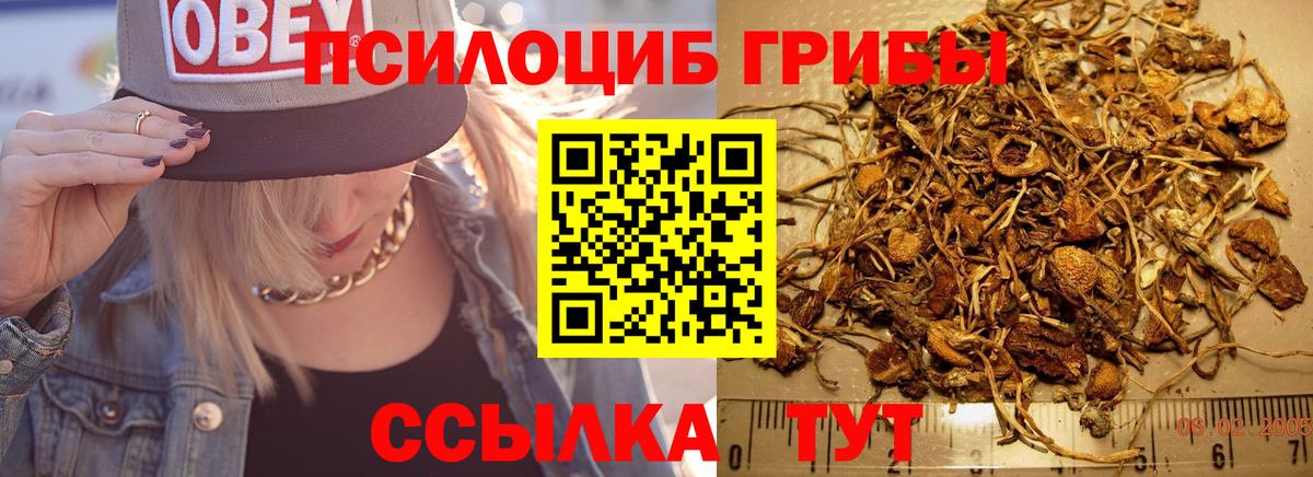 Псилоцибиновые грибы мицелий  Вход с VPN  Североуральск 